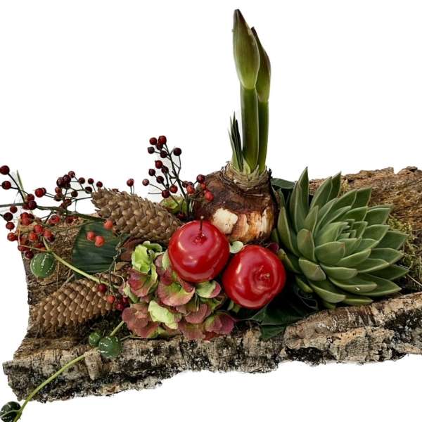 Amaryllis Tree