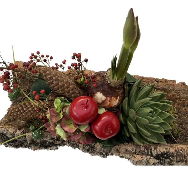 Amaryllis Tree - Afbeelding 2