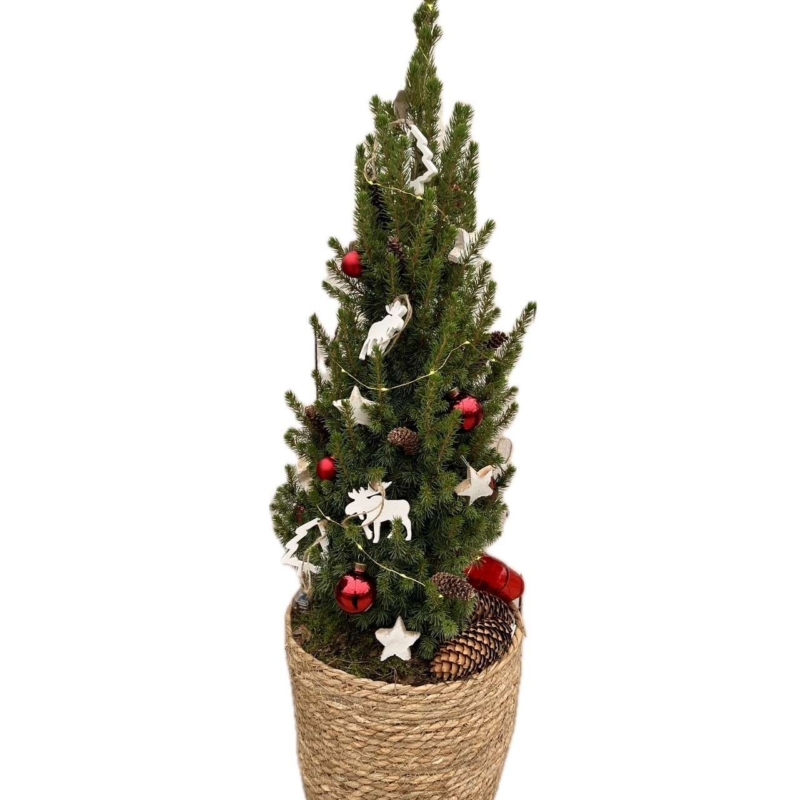 kerstarrangement chris