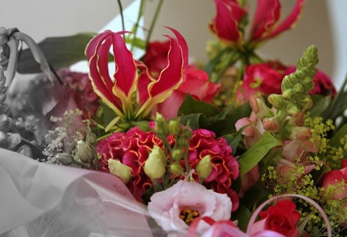 webshop Bloemen