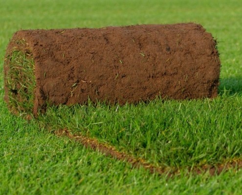 Graszoden