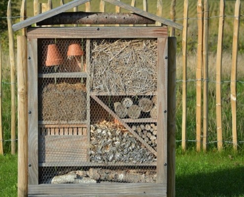 insectenhotel