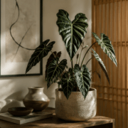 kamerplanten trendy