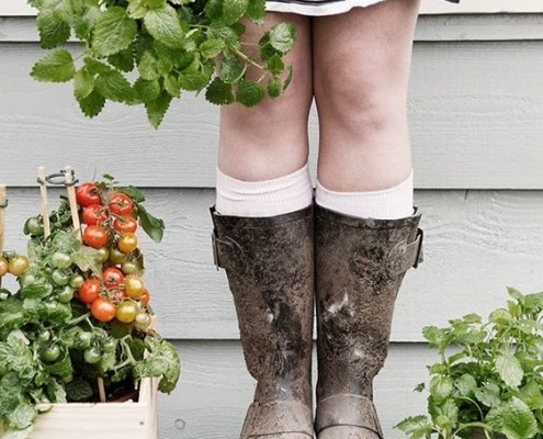 Moestuin