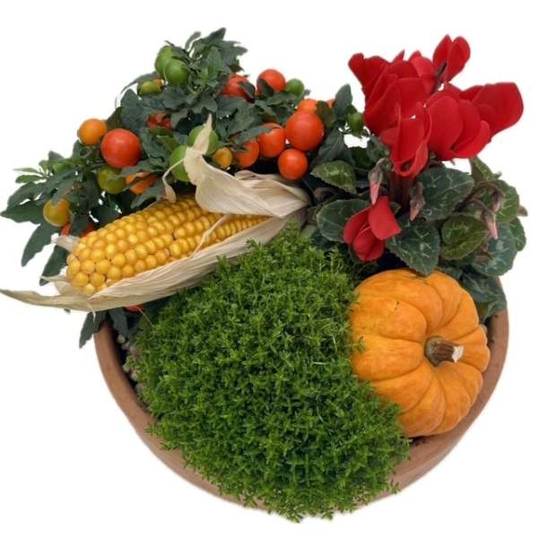 Plantenarrangement Hazel - Afbeelding 2