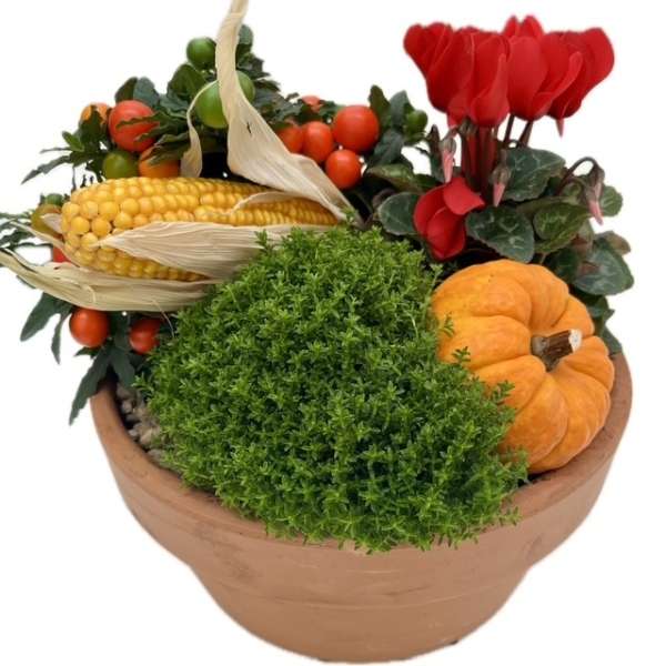 Plantenarrangement Hazel
