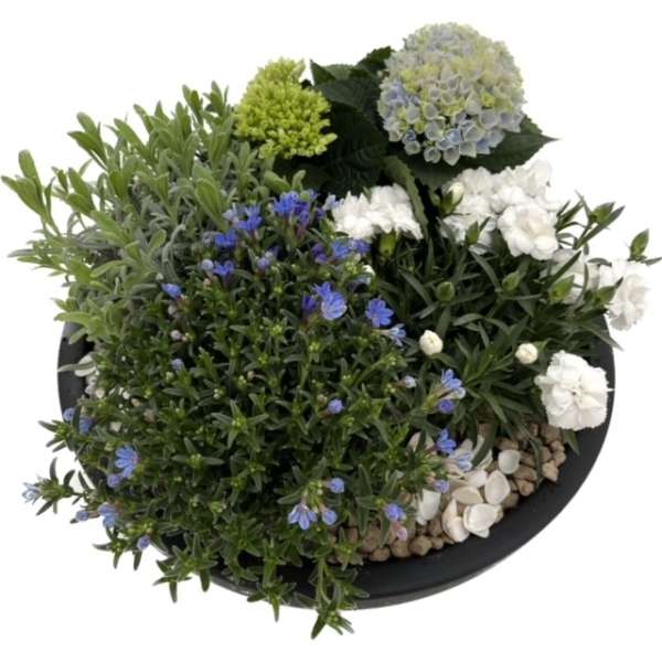 plantenarrangement Mees