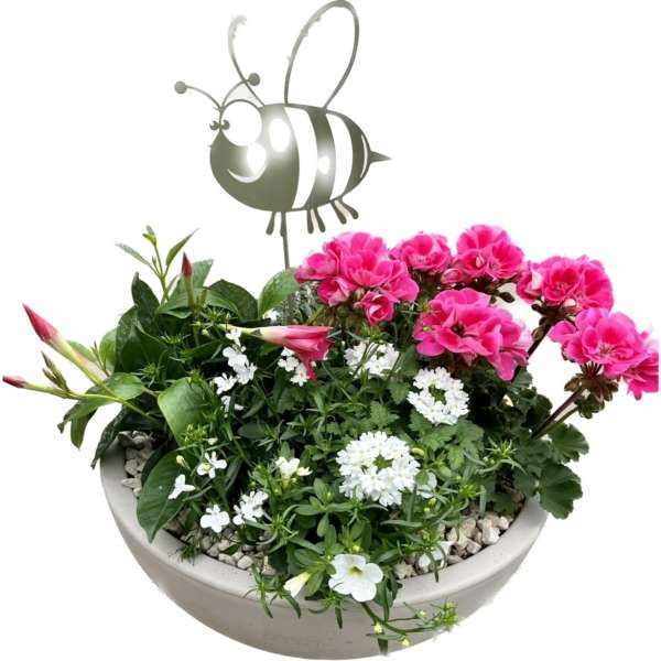 plantenarrangement roza