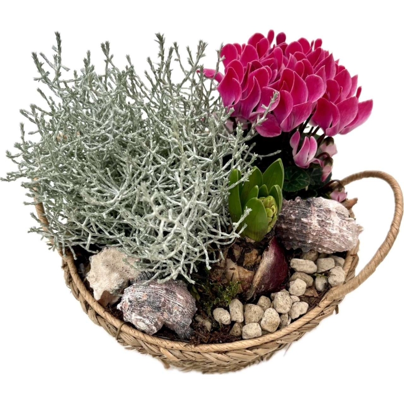 Plantenarrangement Yule