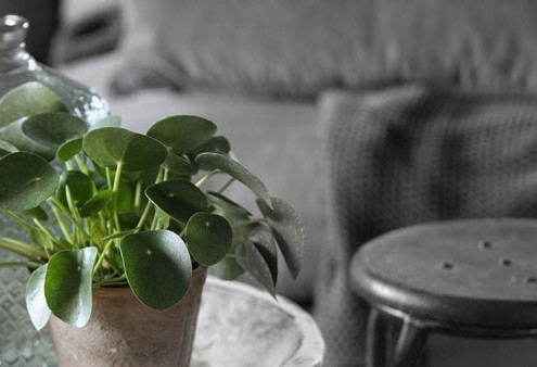 Sfeer en interieur