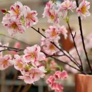 zijdebloemen