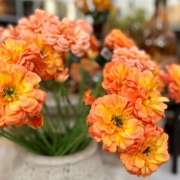 zijdebloemen
